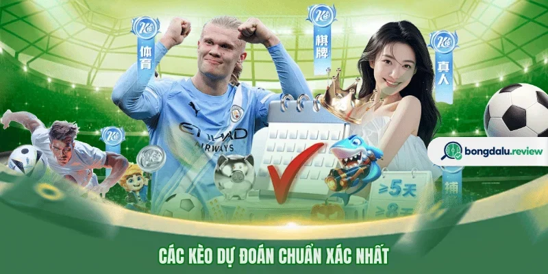 Các kèo dự đoán chuẩn xác nhất