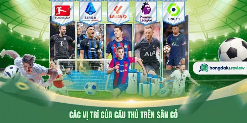 Các vị trí của cầu thủ trên sân cỏ