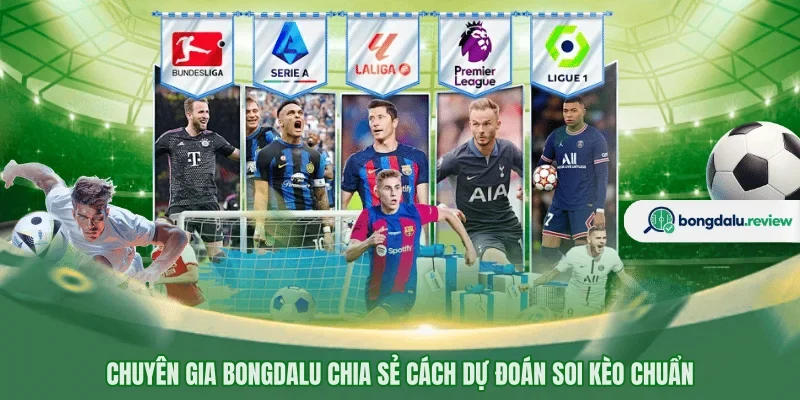 Chuyên gia Bongdalu chia sẻ cách dự đoán soi kèo chuẩn