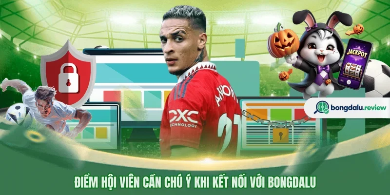 Điểm hội viên cần chú ý khi kết nối với BONGDALU
